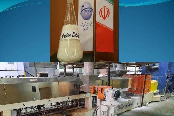 تولید