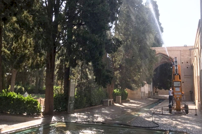 اجرای طرح حفاظت و نجات‌بخشی درختان باغ فین کاشان