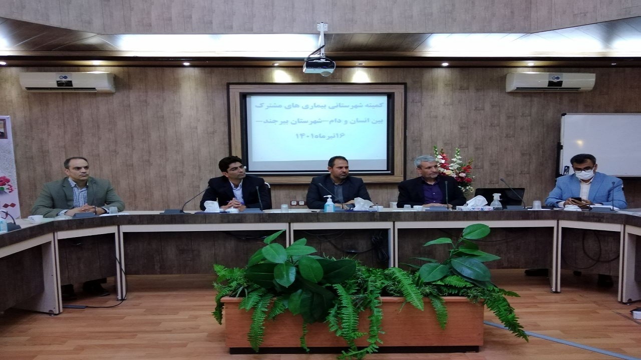 فعالیت ۲۰ گروه نظارتی دامپزشکی در بیرجند