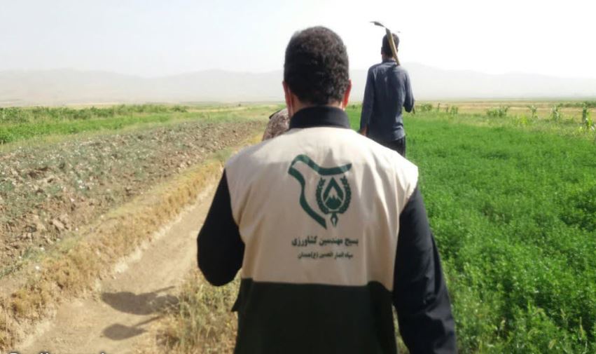 بسیج در حوزه کشاورزی گامهای جهادی برداشته است