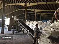توزیع ۱۵۳۱ تن انواع کود یارانهای بین کشاورزان میاندوآب