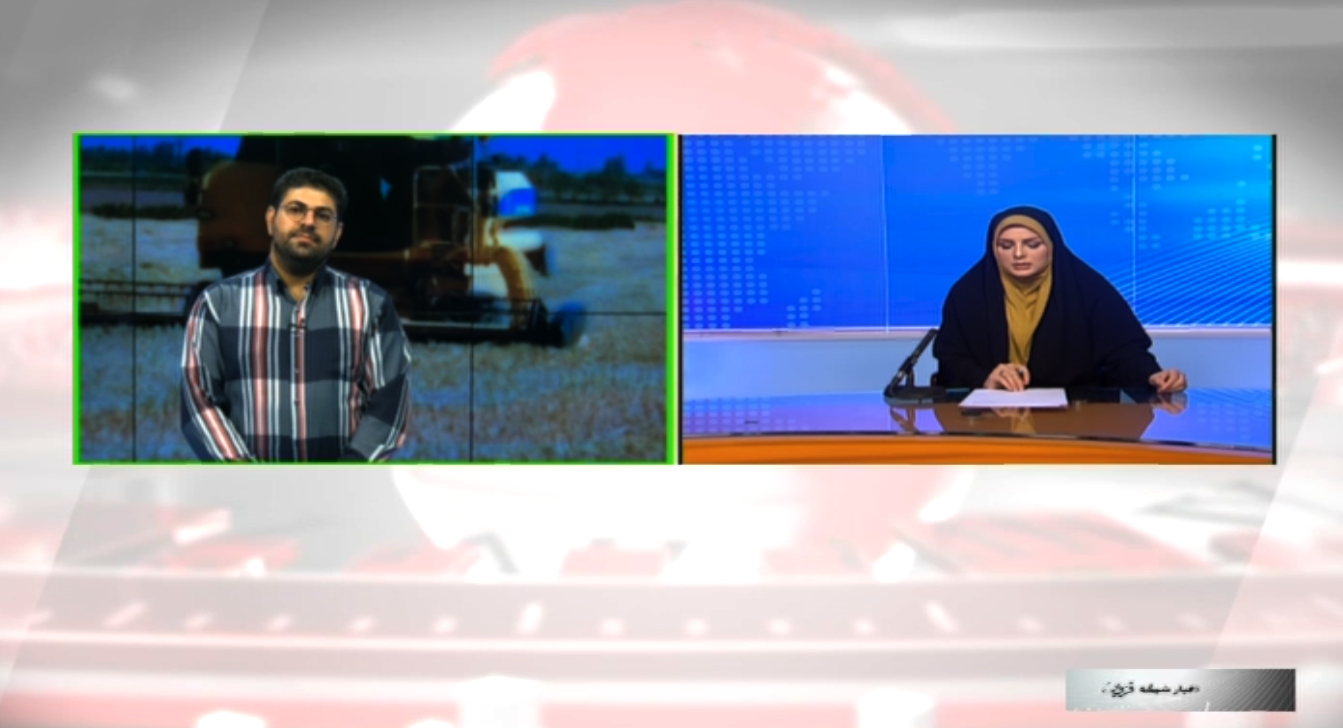 پرداخت بیش از ۶۰ درصد از مطالبات گندمکاران استان قزوین