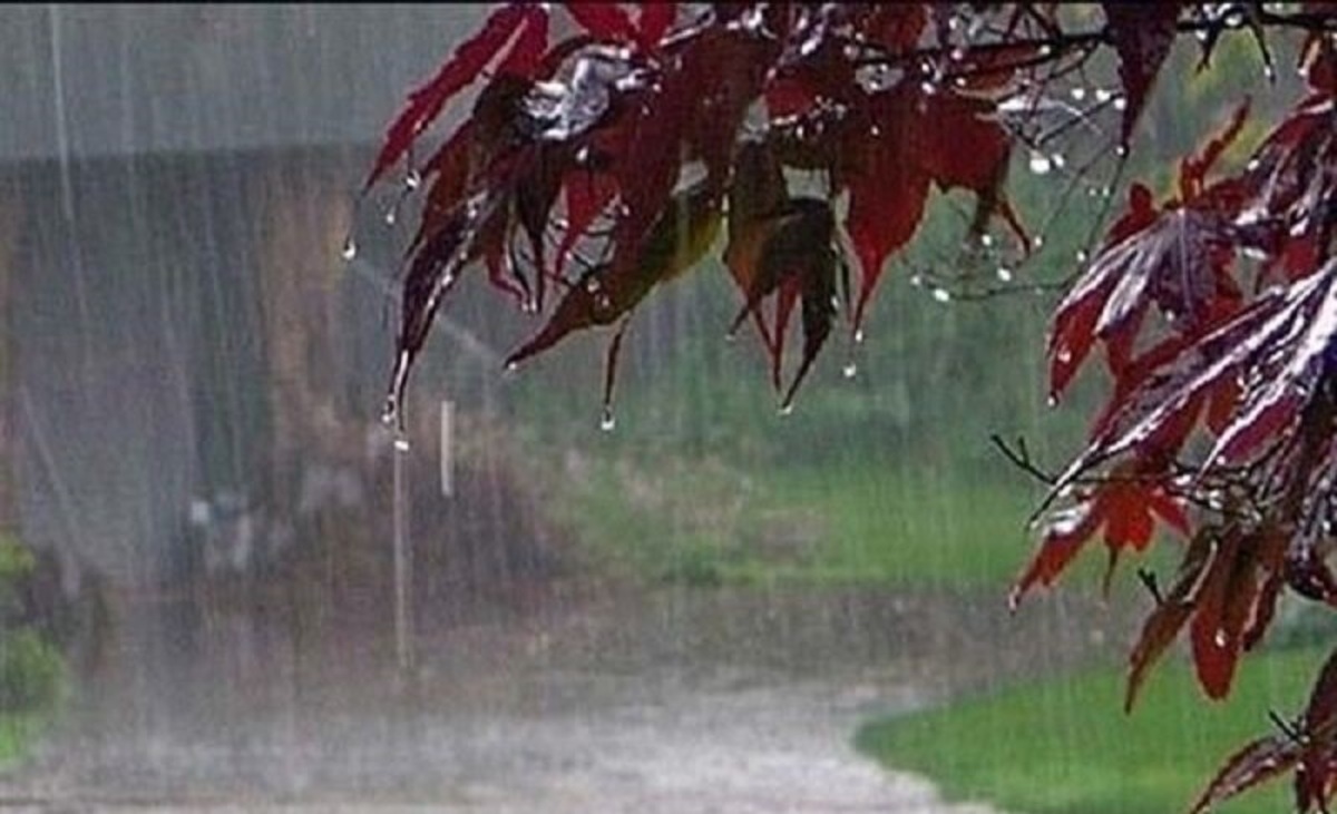 بارش شدید باران در مناطقی از حاجی آباد و بندرخمیر؛ عصر یکشنبه