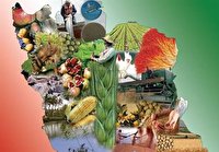 امنیت غذایی و تجربه موفق دیگران