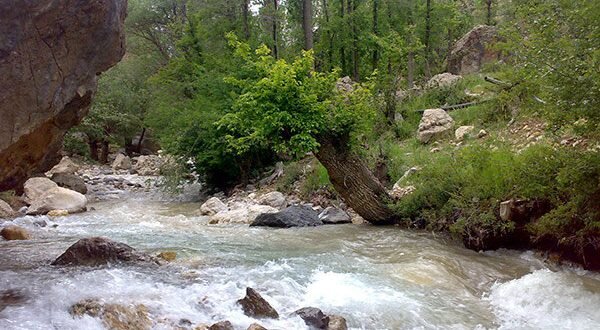 مردم به رودخانههای فصلی و دائمی البرز نزدیک نشوند