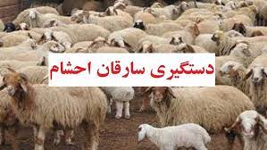 انهدام باند سرقت مسلحانه احشام در بم