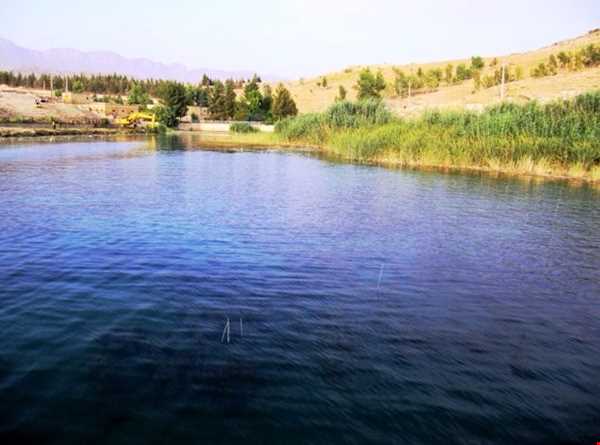 ثبت ملی رویشگاه طبیعی 