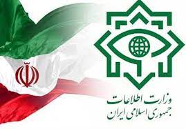 یک تبعه کشور سوئد به اتهام جاسوسی بازداشت شد