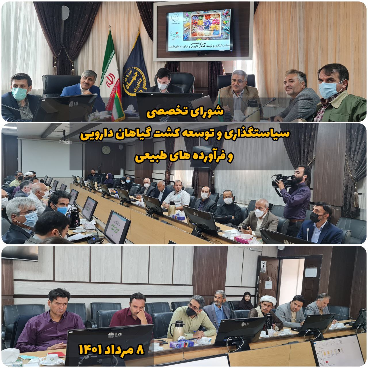 پیش بینی برداشت ۱۸۰۰ تن گیاه دارویی در خراسان شمالی