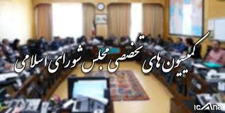 پاسخگویی وزرا در کمیسیون‌های تخصصی مجلس