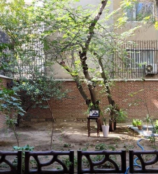 سایه در رشت به خاک سپرده می شود
