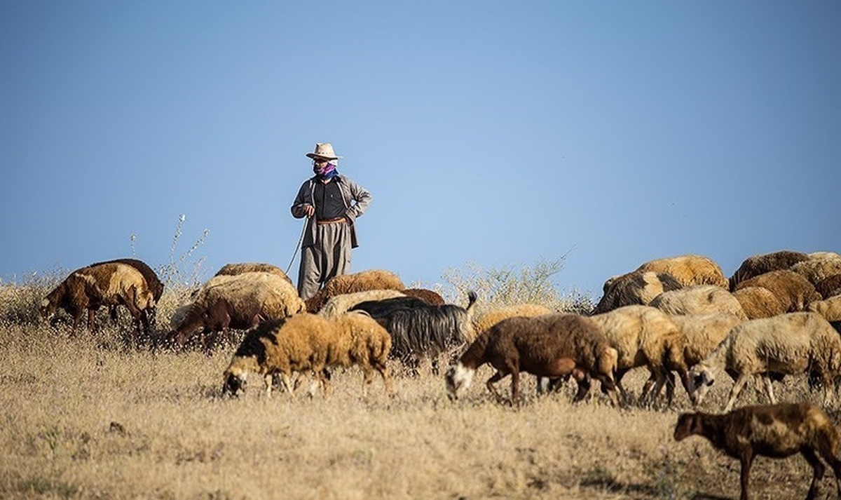 بهره برداری از عرصه‌های طبیعی باید مطابق طرح باشد