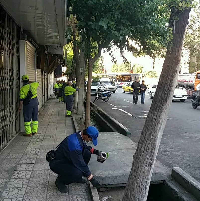 طعمه‌گذاری بیش از هزار و ۱۰۰ منفذ در منطقه ۱۴