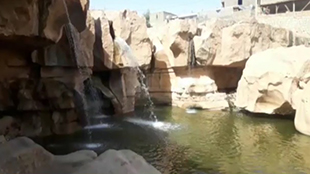 نجات باغات انجیر دهستان افرینه پلدختر