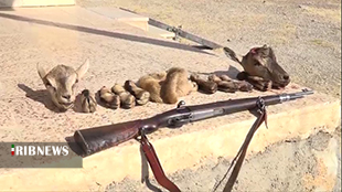 ممنوعیت حمل سلاح در مناطق حفاظت شده لرستان