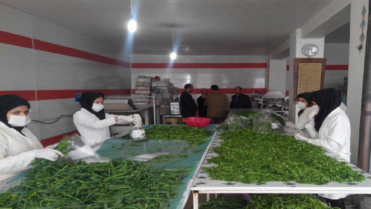 احیای واحد صنعتی پس از ۱۱ سال در شهرستان طبس