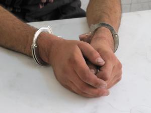 فروش مرغ یخ زده دولتی با جعل عنوان یک برند مطرح