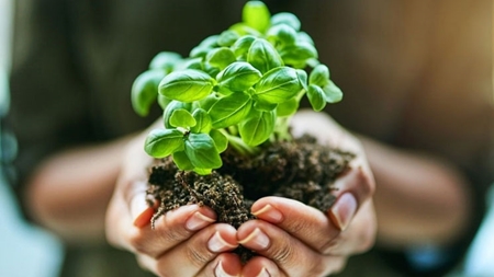 پیوستن 830 مدرسه به زیست بوم فناوری و نوآوری